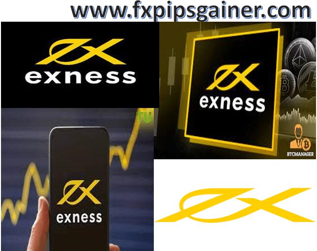 Exness FX broker A Comprehensive Overview of Features and Benefits Exness FX broker A Comprehensive Overview of Features and Benefits