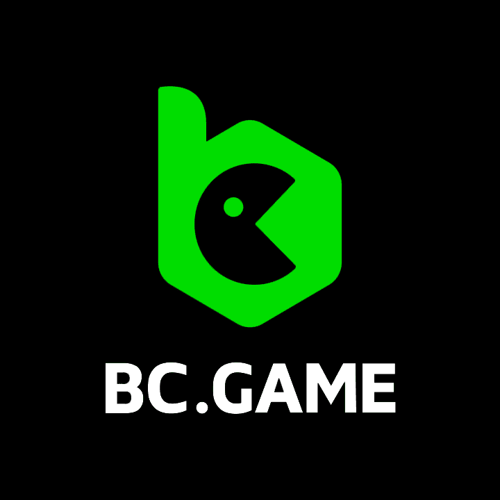 Understanding BC Game Deposit Methods