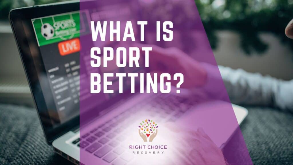 Best Crypto Casinos With Daily Payout Stats 40 Best Crypto Casinos With Daily Payout Stats 40