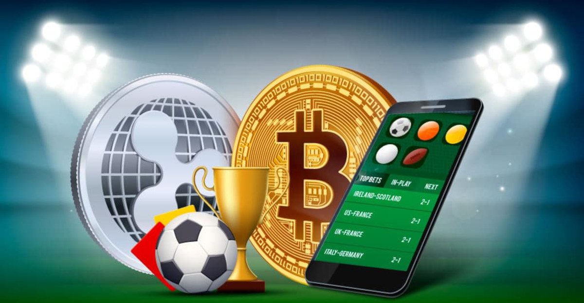 Best Crypto Casinos With Daily Payout Stats 40 Best Crypto Casinos With Daily Payout Stats 40